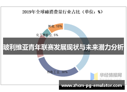 玻利维亚青年联赛发展现状与未来潜力分析